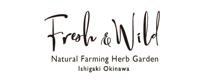 Fresh＆Wild Natural farming herb garden ｜Ishigaki Okinawa